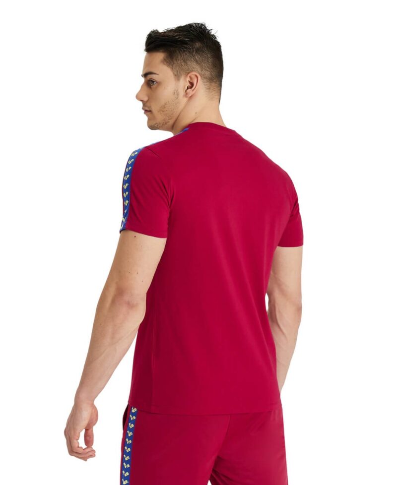 Tricou Bărbați Arena T-Shirt Team